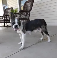 processed/5985309f-8942-4ad9-96f9-1e6b8873c6bc/listing/c966810e-8369-4641-a201-ec5b428e1bf1/4892cdd1-4871-48c3-b3c8-75aa55631c4f