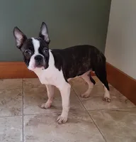 processed/5985309f-8942-4ad9-96f9-1e6b8873c6bc/listing/c966810e-8369-4641-a201-ec5b428e1bf1/878d0cde-d272-4057-baf1-c91a18d81754