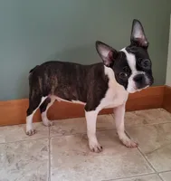 processed/5985309f-8942-4ad9-96f9-1e6b8873c6bc/listing/c966810e-8369-4641-a201-ec5b428e1bf1/def0af2d-1468-4e24-877f-1faaf0f91c27