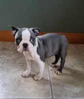 processed/5985309f-8942-4ad9-96f9-1e6b8873c6bc/listing/c9c95901-2771-4596-8444-43ed8ca93d16/3c43651b-d436-456d-9729-9a0b85263133