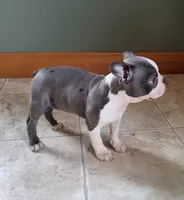 processed/5985309f-8942-4ad9-96f9-1e6b8873c6bc/listing/c9c95901-2771-4596-8444-43ed8ca93d16/480b45e6-620a-4fd7-9037-1c211368d392