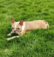 processed/5985309f-8942-4ad9-96f9-1e6b8873c6bc/listing/c9c95901-2771-4596-8444-43ed8ca93d16/677e4f38-659f-49e7-88d8-9bf00c34fd52