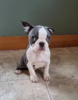 processed/5985309f-8942-4ad9-96f9-1e6b8873c6bc/listing/c9c95901-2771-4596-8444-43ed8ca93d16/835ce4dc-c8e7-4bc7-82c3-1e9b1f3280eb