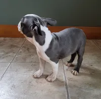 processed/5985309f-8942-4ad9-96f9-1e6b8873c6bc/listing/c9c95901-2771-4596-8444-43ed8ca93d16/8eff3322-4355-4d80-9c55-5a8dba6fd38c