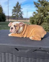 processed/598848c1-f46f-4170-a0ec-13dade80f7d2/listing/0ccb4ba9-5ac1-4931-93c6-e20507723b06/af0586b3-f5c7-4c70-a463-b1fc5754cdcb