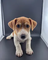 processed/598848c1-f46f-4170-a0ec-13dade80f7d2/listing/421ec282-e25e-4032-b3d5-5135f49a61e7/200ff2ce-4bfd-43a5-aa7b-d15fbc2810c7