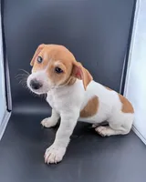 processed/598848c1-f46f-4170-a0ec-13dade80f7d2/listing/421ec282-e25e-4032-b3d5-5135f49a61e7/267f9e6d-07e4-48b7-9530-c73988d50d1d