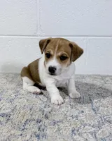 processed/598848c1-f46f-4170-a0ec-13dade80f7d2/listing/421ec282-e25e-4032-b3d5-5135f49a61e7/41c038ef-07e0-4adb-9c61-d309a292ed16