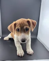 processed/598848c1-f46f-4170-a0ec-13dade80f7d2/listing/421ec282-e25e-4032-b3d5-5135f49a61e7/a1b35b89-c099-4c42-95f2-4179f9980cd3