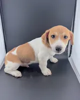 processed/598848c1-f46f-4170-a0ec-13dade80f7d2/listing/421ec282-e25e-4032-b3d5-5135f49a61e7/a9fcc718-06f1-4092-bf6a-6a7b45afa2c9