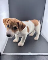 processed/598848c1-f46f-4170-a0ec-13dade80f7d2/listing/421ec282-e25e-4032-b3d5-5135f49a61e7/e55cebe0-bc3d-4eaf-90d1-4d7939550cfe