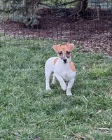 processed/598848c1-f46f-4170-a0ec-13dade80f7d2/listing/77e28d05-5e7e-470b-89f2-de41ba61a7c6/03dc7fa1-40dc-469e-ba5e-e827be666cc3