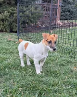 processed/598848c1-f46f-4170-a0ec-13dade80f7d2/listing/77e28d05-5e7e-470b-89f2-de41ba61a7c6/10da8c80-8ffc-4da8-9ce2-a173506c39e1