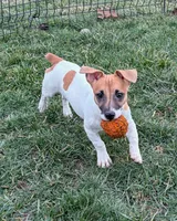 processed/598848c1-f46f-4170-a0ec-13dade80f7d2/listing/77e28d05-5e7e-470b-89f2-de41ba61a7c6/65555206-1f6e-4f8e-a23d-15e0c312d7d1