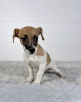 processed/598848c1-f46f-4170-a0ec-13dade80f7d2/listing/77e28d05-5e7e-470b-89f2-de41ba61a7c6/d53bde2d-b012-45ab-a239-5583738e589c