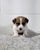 processed/598848c1-f46f-4170-a0ec-13dade80f7d2/listing/7bd44679-2574-4596-a7b6-87f1b74025fd/6197ee5d-c086-4b92-9531-ae760ba46564