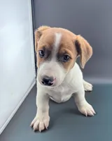 processed/598848c1-f46f-4170-a0ec-13dade80f7d2/listing/7bd44679-2574-4596-a7b6-87f1b74025fd/91235d2e-3e99-4bab-b5db-dbb0ef4b3047