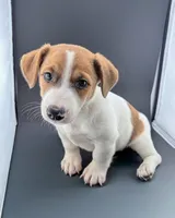 processed/598848c1-f46f-4170-a0ec-13dade80f7d2/listing/7bd44679-2574-4596-a7b6-87f1b74025fd/9413a234-f0dd-4de8-bfef-bd5288c538f4