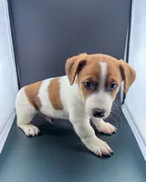 processed/598848c1-f46f-4170-a0ec-13dade80f7d2/listing/7bd44679-2574-4596-a7b6-87f1b74025fd/bd571cbf-d4d4-4586-ba4e-0ce17b462226