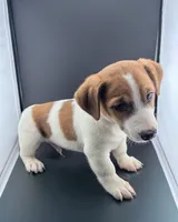 processed/598848c1-f46f-4170-a0ec-13dade80f7d2/listing/7bd44679-2574-4596-a7b6-87f1b74025fd/bf3235cc-31d1-4703-b3af-2fdc4e96fae0