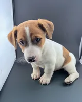 processed/598848c1-f46f-4170-a0ec-13dade80f7d2/listing/7bd44679-2574-4596-a7b6-87f1b74025fd/ecd8556f-9d2a-41bd-baa3-cd6c559b9891