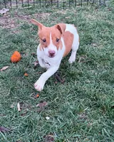 processed/598848c1-f46f-4170-a0ec-13dade80f7d2/listing/b0c0919b-9294-40d4-871a-17b8cb65e673/1b58031f-53e5-4816-a3c1-ad6525a15070