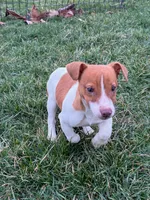 processed/598848c1-f46f-4170-a0ec-13dade80f7d2/listing/b0c0919b-9294-40d4-871a-17b8cb65e673/2c9402e0-6e19-41fc-bf68-ec878f90b22c