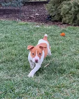 processed/598848c1-f46f-4170-a0ec-13dade80f7d2/listing/b0c0919b-9294-40d4-871a-17b8cb65e673/350908ba-a221-475f-827e-9ff25c1a9e8d