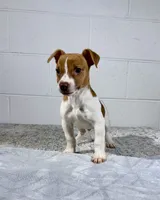 processed/598848c1-f46f-4170-a0ec-13dade80f7d2/listing/b0c0919b-9294-40d4-871a-17b8cb65e673/7b6d7b73-ad54-47db-82a5-e701ca33f4cb