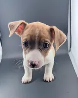 processed/598848c1-f46f-4170-a0ec-13dade80f7d2/listing/b746492b-4425-4f12-adf4-d839074594d8/04fbad2b-bece-4834-be3a-8418f0bc0282