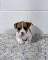 processed/598848c1-f46f-4170-a0ec-13dade80f7d2/listing/b746492b-4425-4f12-adf4-d839074594d8/0d38a175-162b-4aa2-bbc3-1785d1e86d34