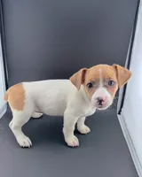 processed/598848c1-f46f-4170-a0ec-13dade80f7d2/listing/b746492b-4425-4f12-adf4-d839074594d8/75edc014-0553-43f8-9d8f-aa3a577f8556