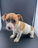 processed/598848c1-f46f-4170-a0ec-13dade80f7d2/listing/b746492b-4425-4f12-adf4-d839074594d8/97fada91-1286-4c8c-bdcc-e516da6aee5e