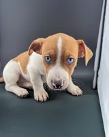 processed/598848c1-f46f-4170-a0ec-13dade80f7d2/listing/c463172f-c0e6-4701-a93e-905616d14a16/0b1cc8a2-ccb3-49e2-8150-5a52dd934dac