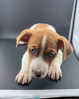 processed/598848c1-f46f-4170-a0ec-13dade80f7d2/listing/c463172f-c0e6-4701-a93e-905616d14a16/6264db75-ccd1-431c-a0dc-5a22600c7b91