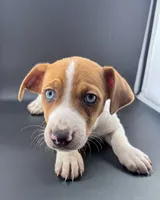 processed/598848c1-f46f-4170-a0ec-13dade80f7d2/listing/c463172f-c0e6-4701-a93e-905616d14a16/697489db-3ec0-49d0-b3a1-e06a779256ab