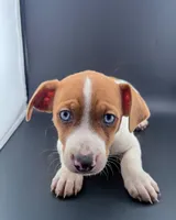 processed/598848c1-f46f-4170-a0ec-13dade80f7d2/listing/c463172f-c0e6-4701-a93e-905616d14a16/96992c29-5622-4ed1-a4cf-01d0452cf603