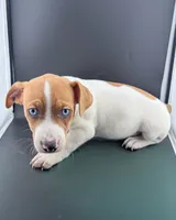 processed/598848c1-f46f-4170-a0ec-13dade80f7d2/listing/c463172f-c0e6-4701-a93e-905616d14a16/c53771e2-e56d-48a6-b3be-ad8da19e4406