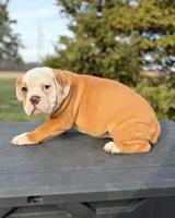 processed/598848c1-f46f-4170-a0ec-13dade80f7d2/listing/d1bcd0c8-55bb-4faf-adac-00e4e6bf0ad2/7422f7ba-b01a-459d-a866-0547eddf9510