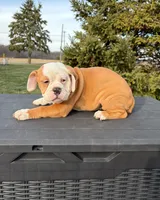 processed/598848c1-f46f-4170-a0ec-13dade80f7d2/listing/d1bcd0c8-55bb-4faf-adac-00e4e6bf0ad2/80785ed7-9be3-46c1-81ce-f1df88fb98b0