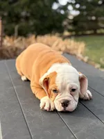 processed/598848c1-f46f-4170-a0ec-13dade80f7d2/listing/d1bcd0c8-55bb-4faf-adac-00e4e6bf0ad2/a1e9c99d-4cbd-4761-8364-ad5020dd4457