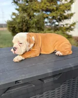 processed/598848c1-f46f-4170-a0ec-13dade80f7d2/listing/d1bcd0c8-55bb-4faf-adac-00e4e6bf0ad2/d46e99d2-6816-4189-b9ae-f2e9b890fcbe