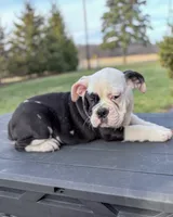 processed/598848c1-f46f-4170-a0ec-13dade80f7d2/listing/e1b09e4f-ca6d-4efd-9a52-f1144dccd35d/211d1e8c-6796-4f81-9644-665440e74cd5