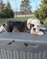 processed/598848c1-f46f-4170-a0ec-13dade80f7d2/listing/e1b09e4f-ca6d-4efd-9a52-f1144dccd35d/534deca8-8366-474c-8317-5aa51d4d5dab