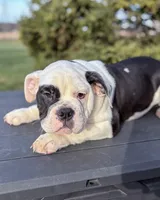 processed/598848c1-f46f-4170-a0ec-13dade80f7d2/listing/e1b09e4f-ca6d-4efd-9a52-f1144dccd35d/53967192-3e47-430b-88c3-cc097af0db1a