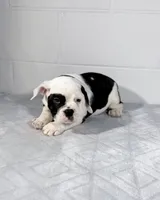 processed/598848c1-f46f-4170-a0ec-13dade80f7d2/listing/e1b09e4f-ca6d-4efd-9a52-f1144dccd35d/b503a99a-c04c-414f-8ef2-8cfae2e2565b