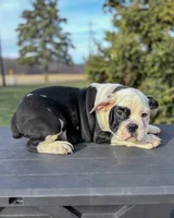 processed/598848c1-f46f-4170-a0ec-13dade80f7d2/listing/e1b09e4f-ca6d-4efd-9a52-f1144dccd35d/c322b9f1-9583-496a-bc27-2a65a8e0b336