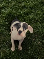 processed/598848c1-f46f-4170-a0ec-13dade80f7d2/listing/e1b09e4f-ca6d-4efd-9a52-f1144dccd35d/ce42c6bb-c0e7-4fdc-ad81-8883578208ad