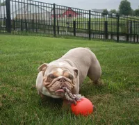 processed/598848c1-f46f-4170-a0ec-13dade80f7d2/listing/e1b09e4f-ca6d-4efd-9a52-f1144dccd35d/f67c7899-4b35-4fc5-9219-3feaf5c843e4