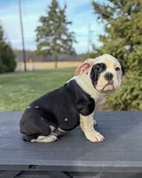 processed/598848c1-f46f-4170-a0ec-13dade80f7d2/listing/e1b09e4f-ca6d-4efd-9a52-f1144dccd35d/fab8d117-b707-41a9-a402-126cbe3a6758